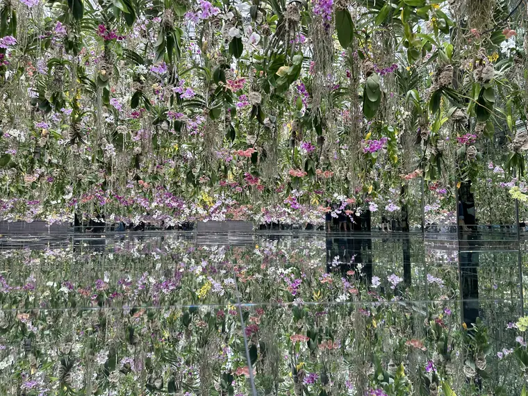 teamLab Planets, Tokio